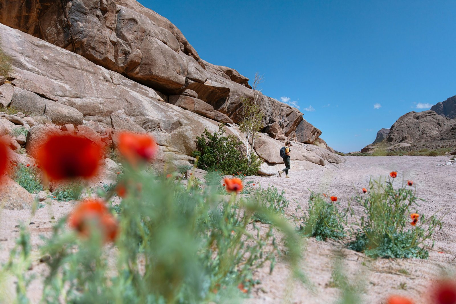 a man standing in the middle of a desert